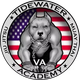 Copy of Tidewater BJJ Academy logo