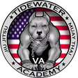Copy of Tidewater BJJ Academy logo