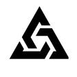 Tríade Escola De Jiu Jitsu logo