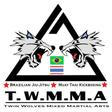 Twin Wolves Martial Arts Academy logo