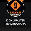 Icon Jiu-Jitsu Bulgaria logo