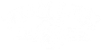 Team Link Ireland logo