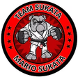 Team Sukata logo