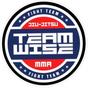 Team Wise Training Center logo