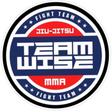 Team Wise Training Center logo