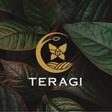 Teragi Academy logo