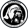 Illinois Brazilian Jiu-Jitsu Academy logo