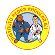 Instituto Pedra Angular BJJ logo