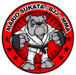 J.L. Samuray BJJ Academy logo