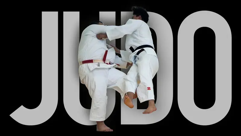 Hidden Mechanics of Jiu-Jitsu Roy Dean DVD Review [2026]
