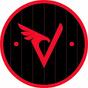 Valko Brazilian Jiu-Jitsu Academy logo