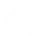 Valor Jiu-Jitsu logo