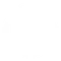 Valor Jiu-Jitsu logo