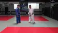 Unorthodox Effective Throws by Aram Grigorian image 5