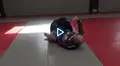 Grand Master Leg Locks by Gokor Chivichyan image 4
