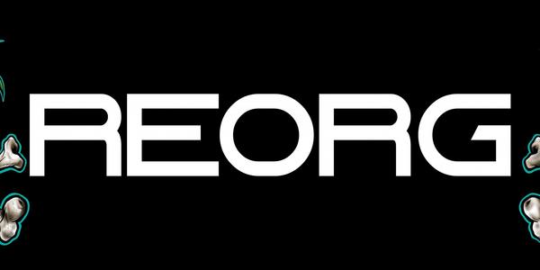 REORG OPEN 2023
