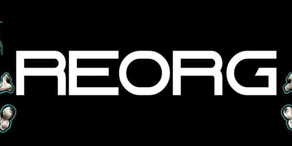 REORG OPEN 2024