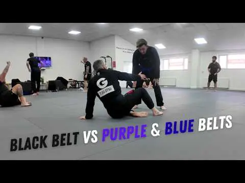 Black belt vs purple & blue betls