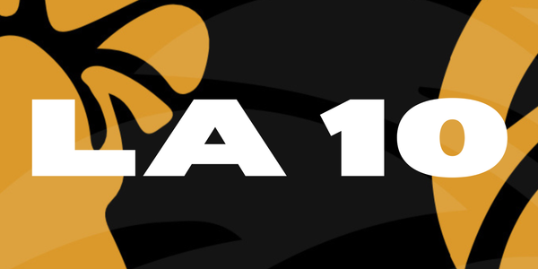 LA 10 - ADULTOS GI Y NOGI