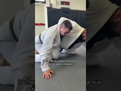Via Simone Martini 143 ,Roma📍 #bjj #apprendrelejujitsu #combat #jiujitsu #mma