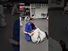 BJJ Gi Adults