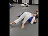 BJJ Gi Adults