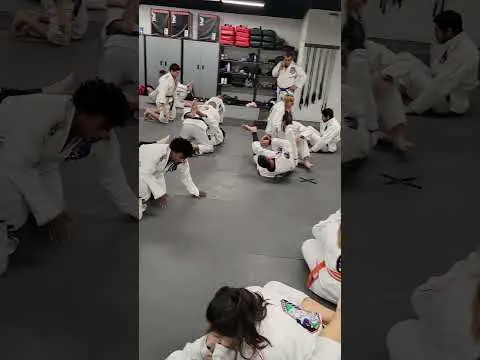 Royce Gracie Seminar 2023