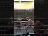Low kick power K.O #muaythai #mma #sports #boxing #ufc #fighter