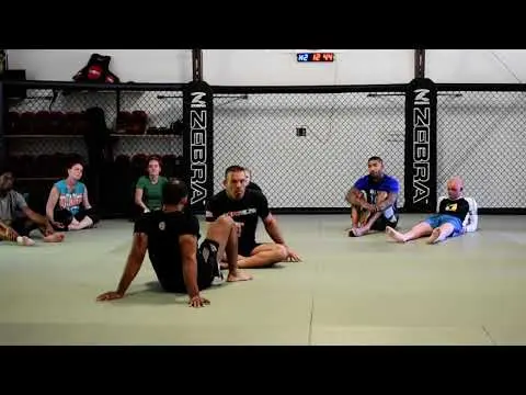 Leg entanglement transitions