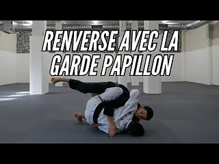 RENVERSE à tous les coups grâce à la GARDE PAPILLON