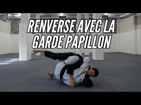 RENVERSE à tous les coups grâce à la GARDE PAPILLON