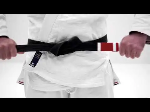 PURE JIU JITSU