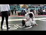 Dora JJWL Jan 30 fight 2/2