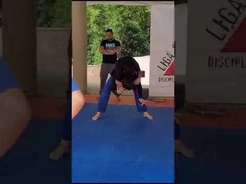 Defesa pessoal