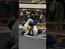 Coach Leo in competition!!!  #bjj