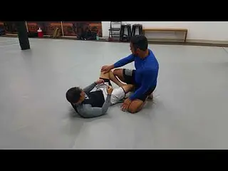 Butterfly guard pass