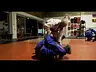 Fight Club Jiu Jitsu Beenleigh