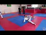 6 FWD Roll