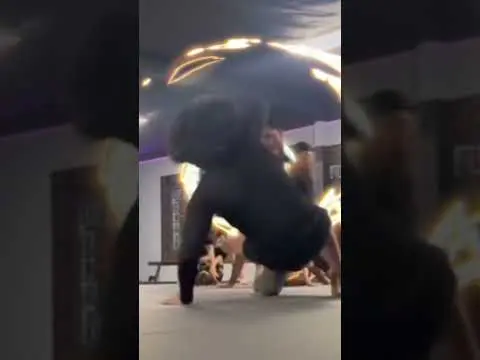 Dangers of BJJ