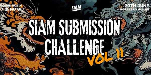 SIAM Submission Challenge Vol.11