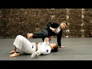2 Closed Squid Guard Attacks//Sweep+Backtake
