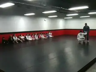 Busy BJJ Kid's Class - 11/3/2011