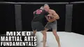 Mixed Martial Arts Fundamentals by Georges St-Pierre image 3