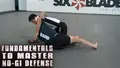 Fundamentals To Master: No Gi Defense by Xande Ribeiro image 3