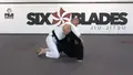 Fundamentals To Master: Back Control by Xande Ribeiro image 5