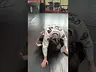 MOUNT ESCAPE WHEN THEY TRANSITION TO MOUNT FROM SIDE CONTROL
