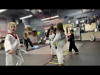 Little Dragons