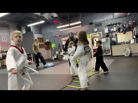 Little Dragons