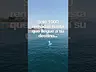 Black belt professor lost at sea…. #bjjbarcelona #jiujitsu #barcelona