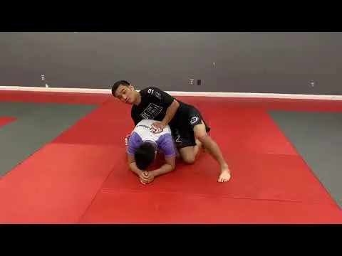 Top turtle attacks / back attacks